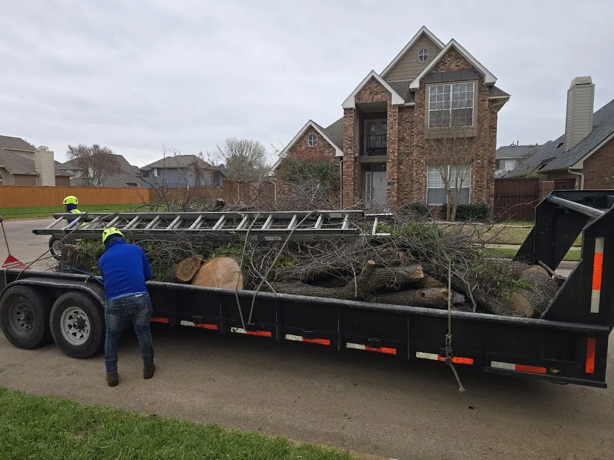 Expert Tree Removal with proper safety equipment in Polkville